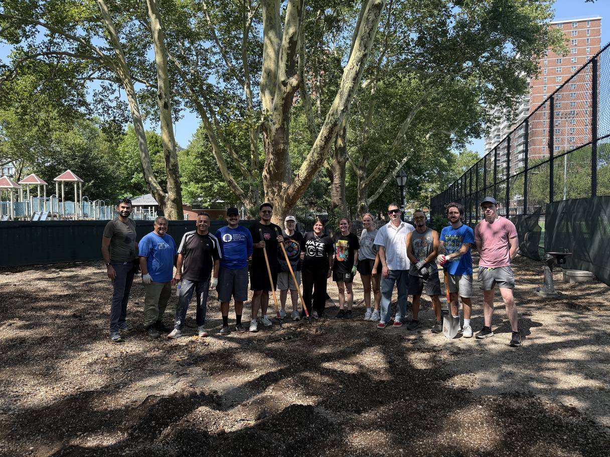 Volunteers with rakes and shovels gathered under the plane trees in the dog run.