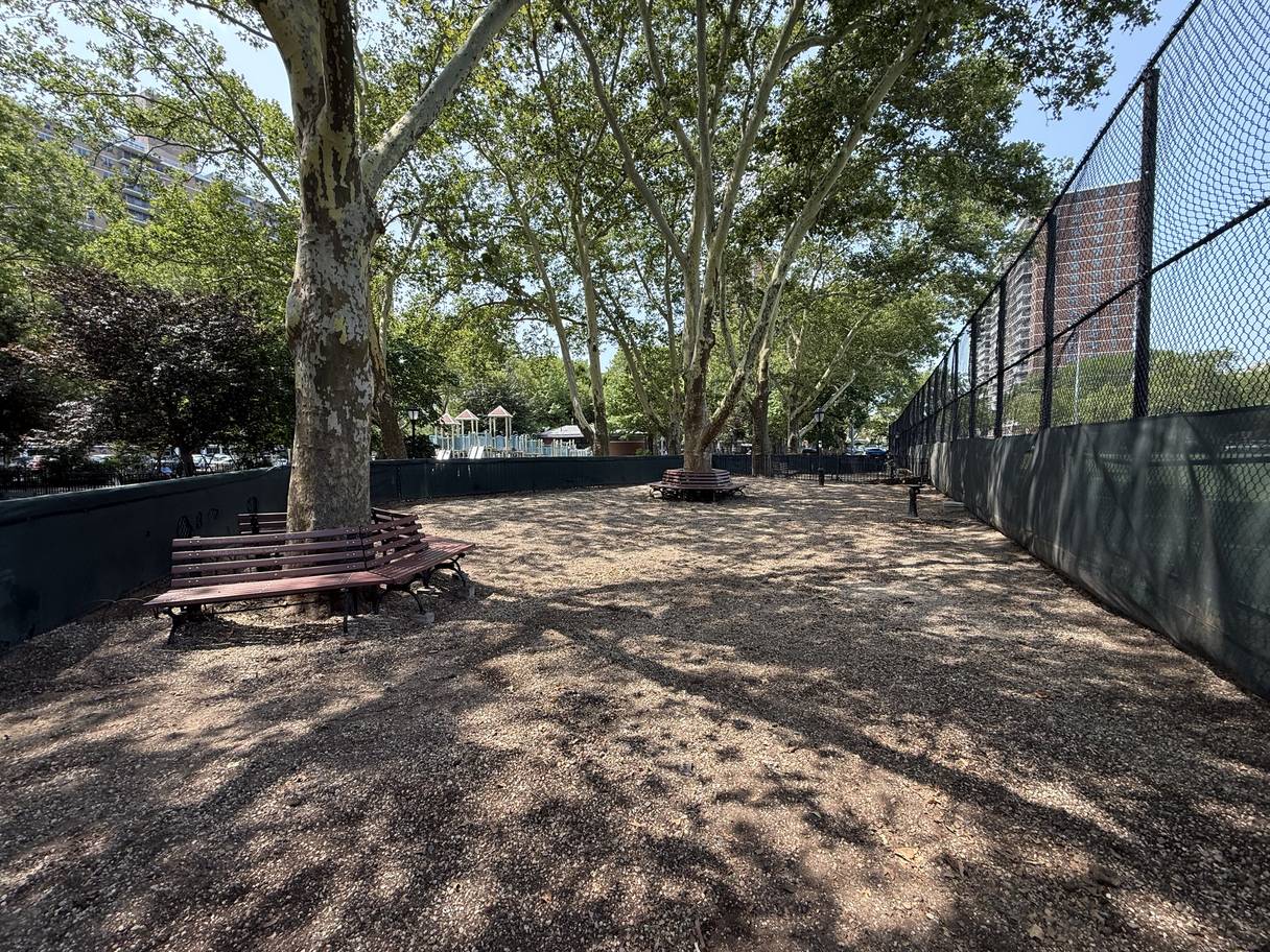 Inside the dog run: gravel surface, circular benches built around large plane trees, and a chain-link fence along one side.